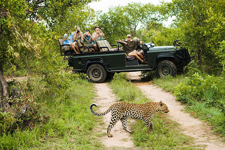 Imagen de Sudafrica - Sudafrica en Reserva Privada