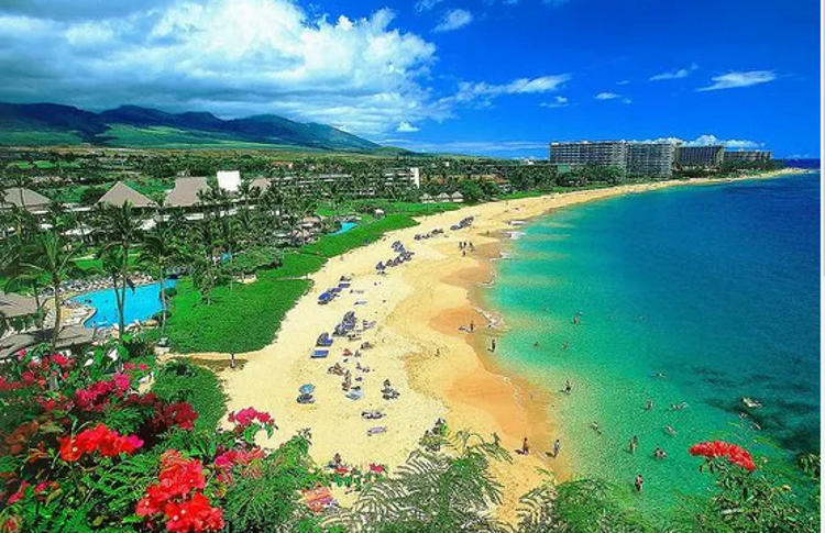 Imagen de Islas Hawaii - Maui