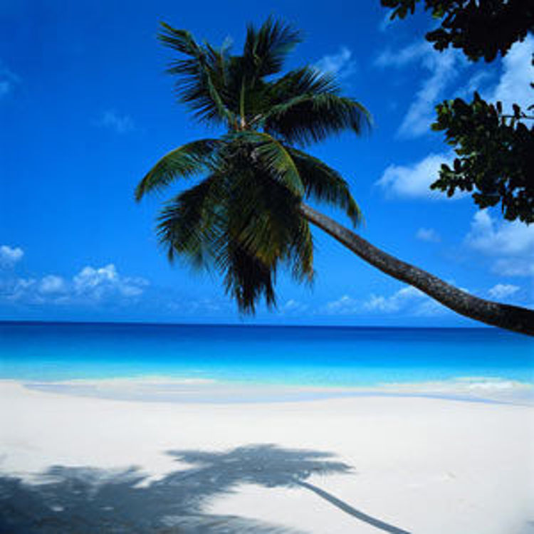 Imagen de Riviera Maya - Vacaciones de Primavera - Cupos Confirmados - Latam