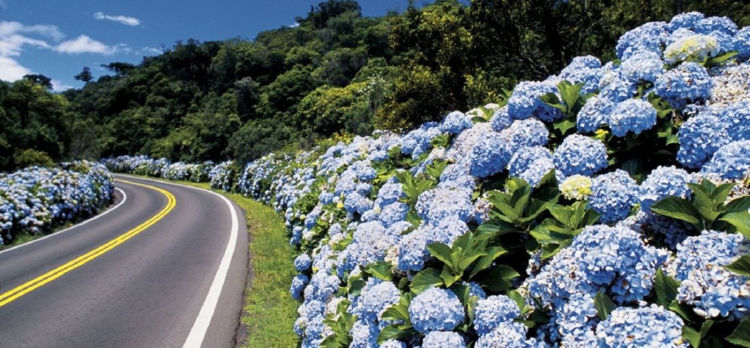 Imagen de Gramado y Canela