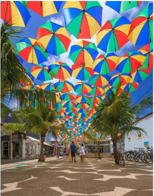 Imagen de Porto de Galinhas - Marzo