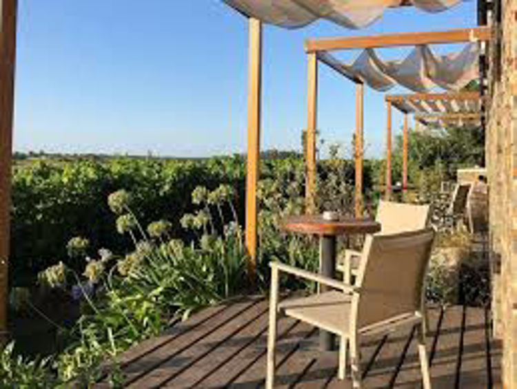 Imagen de Bodega Pizzorno Lodge & Wine -  Escapada Romantica - Turismo Nacional