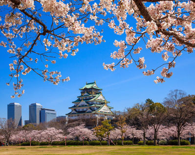 Imagen de Super Japon - Special Tours