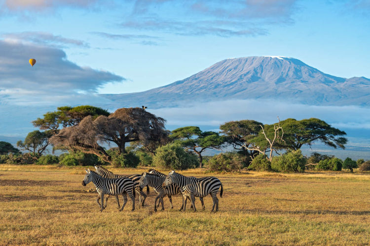 Imagen de Special Tours - Super Kenya